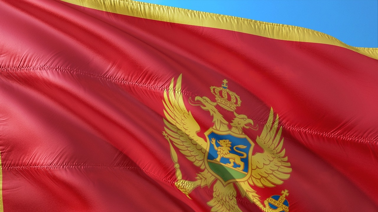 Бивш министър на икономиката е новият президент на Черна гора