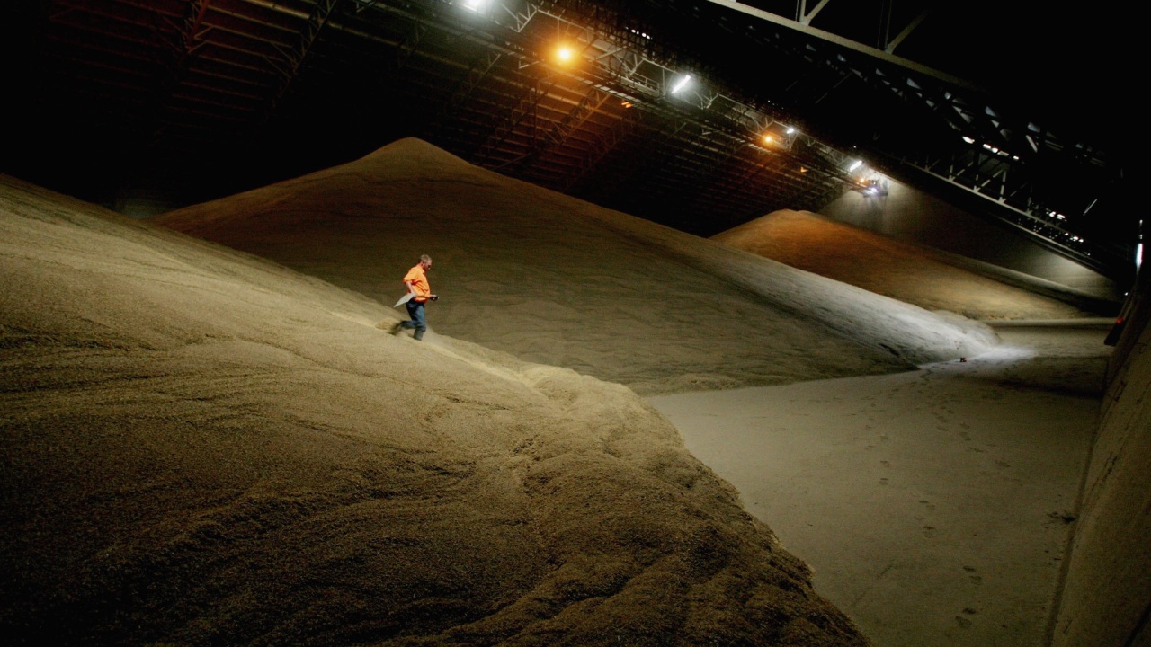Египет очаква 600 000 тона пшеница от Русия през май