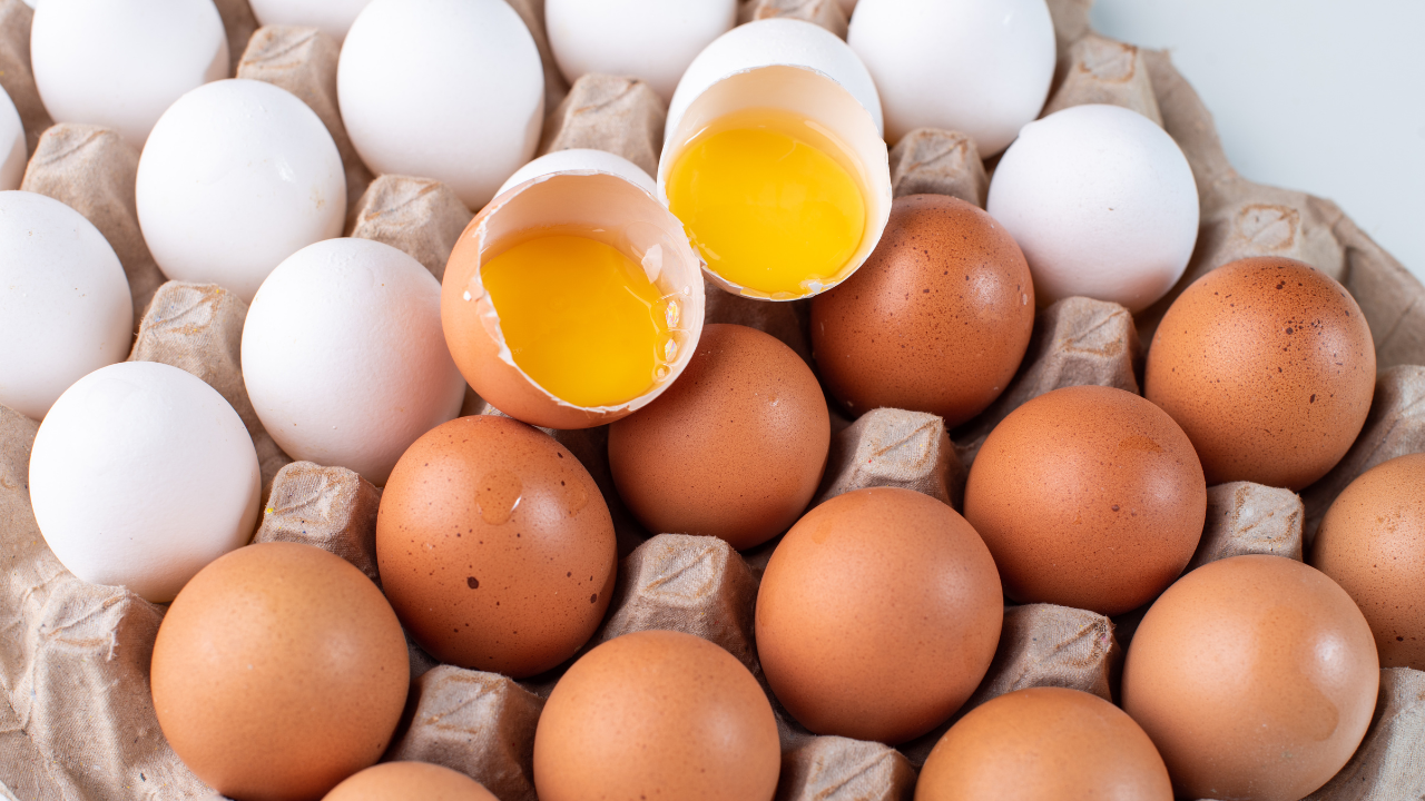 Птицевъд: Белите и кафявите яйца имат еднаква хранителна стойност