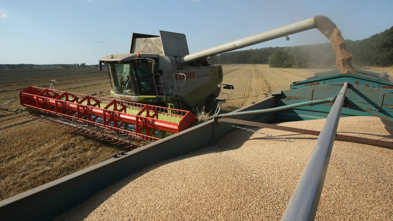Чехия не е установила вредни пестициди в украинското зърно
