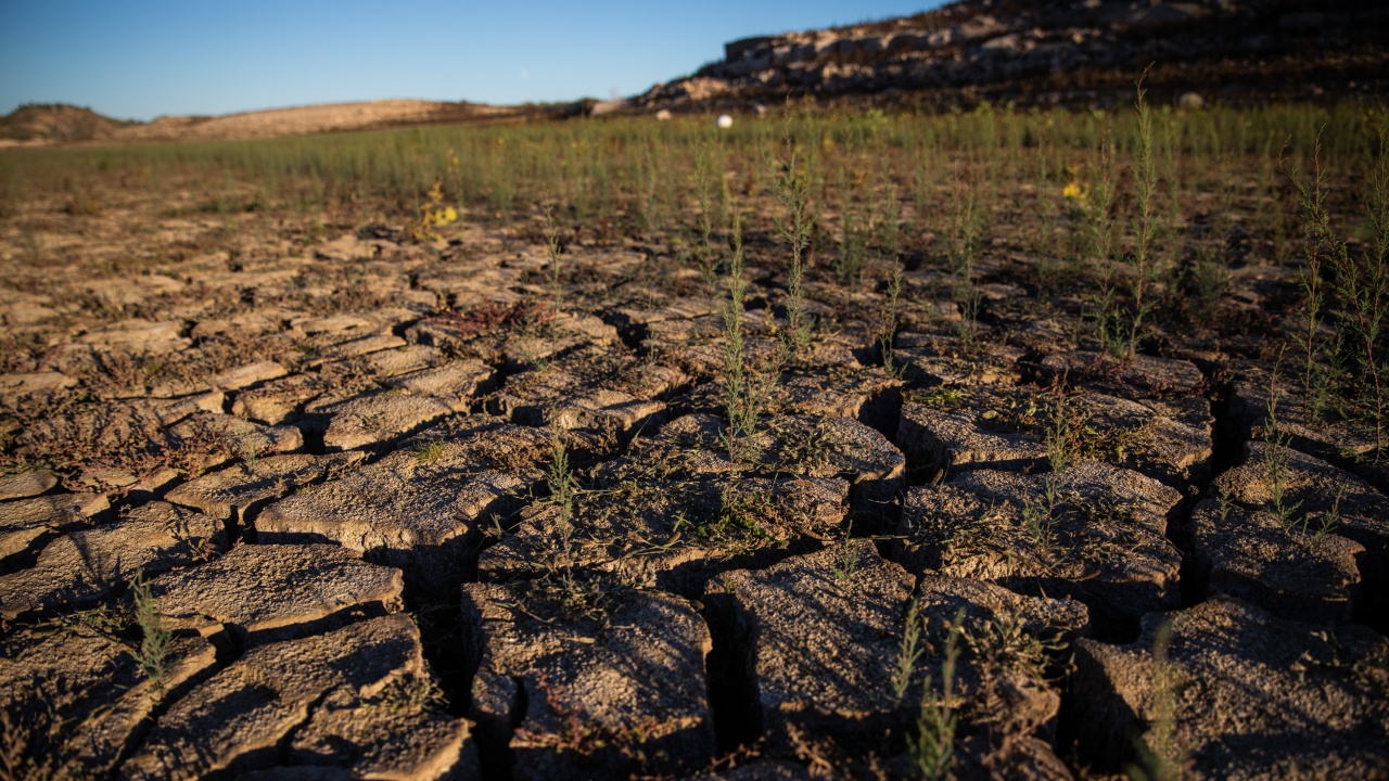 Сушата и високите температури в Испания унищожават реколтата