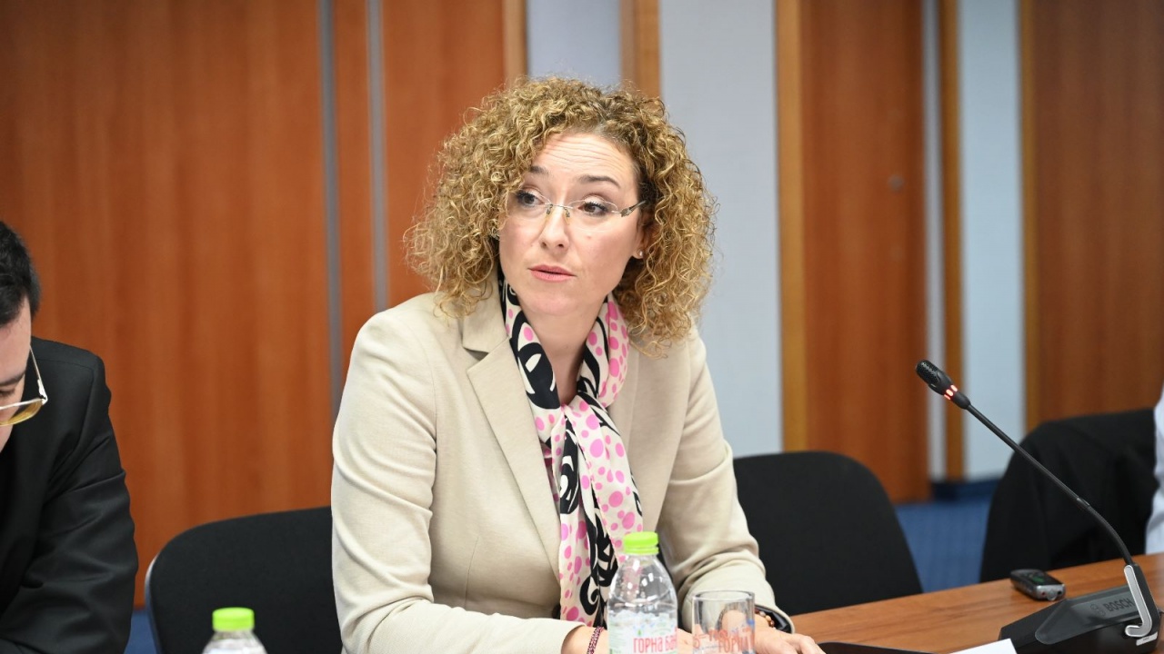 Министър Шалапатова: Почти всяка десета българка споделя за физическо насилие и заплахи