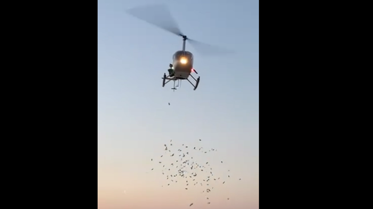 Хеликоптерът от плаж „Градина” хвърлял хартии с лика на бивш управляващ
