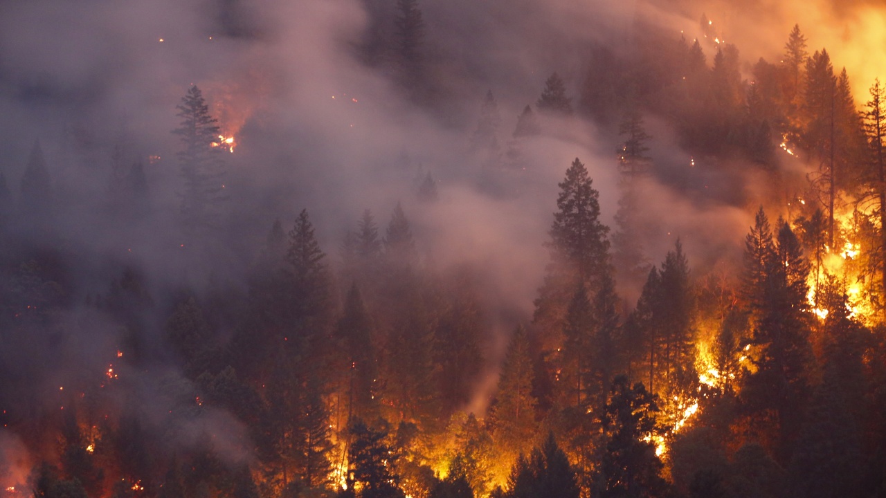Голям пожар гори в Бургаско