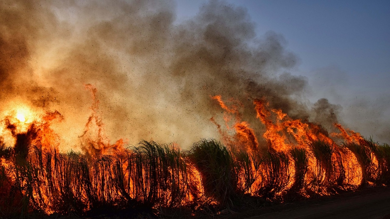 Забраниха паленето на огън на територията на природен парк "Рилски манастир“