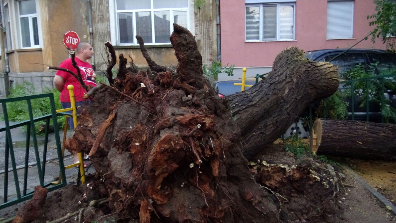 Буря причини сериозни щети в Старозагорско