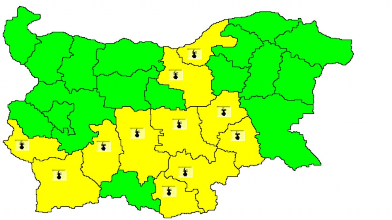 Жълт код за горещини в 11 области