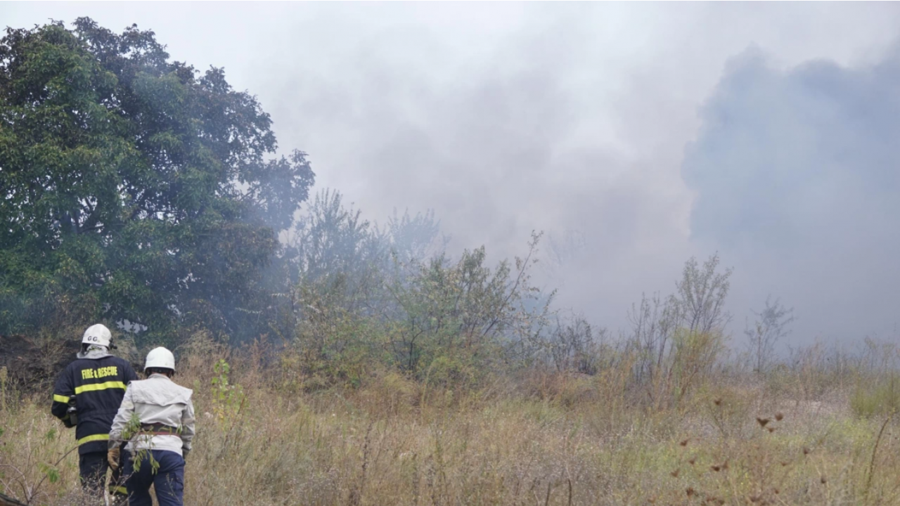 Пожар гори край Гребния канал в Пловдив