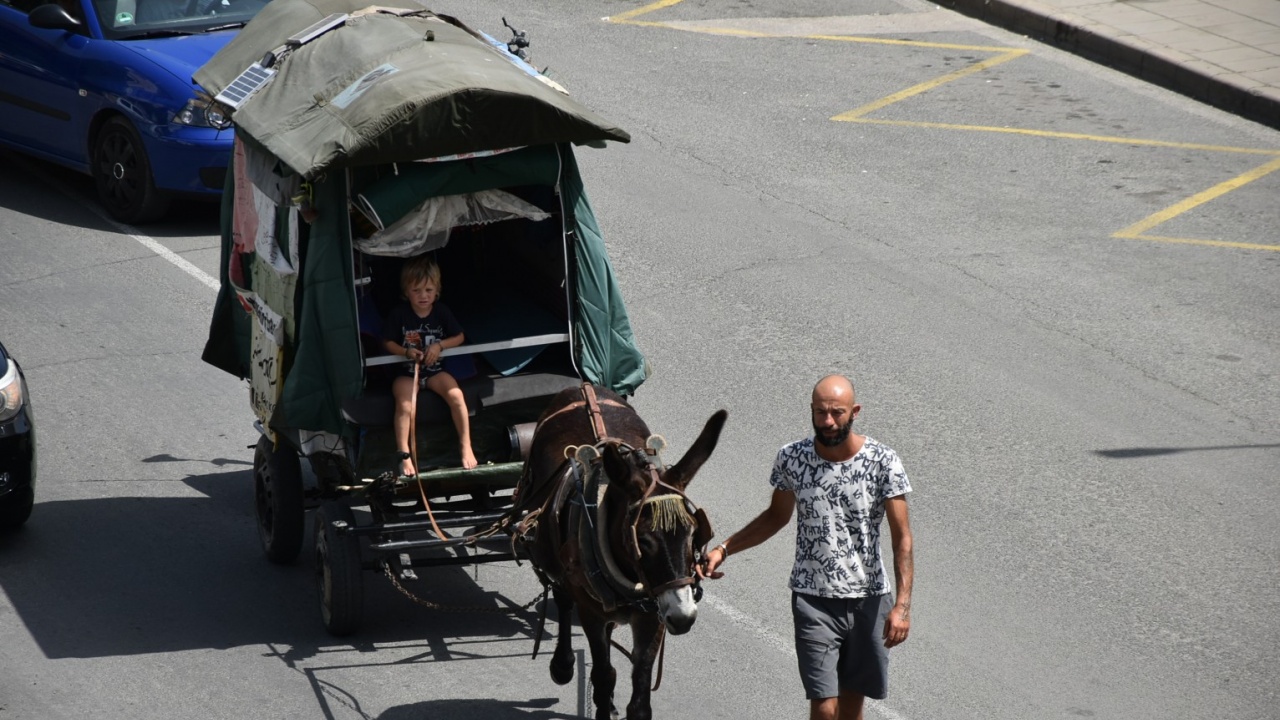 Семейство с 4 деца пътува с каруца от Франция до Палестина, спря да си почине в Ловеч