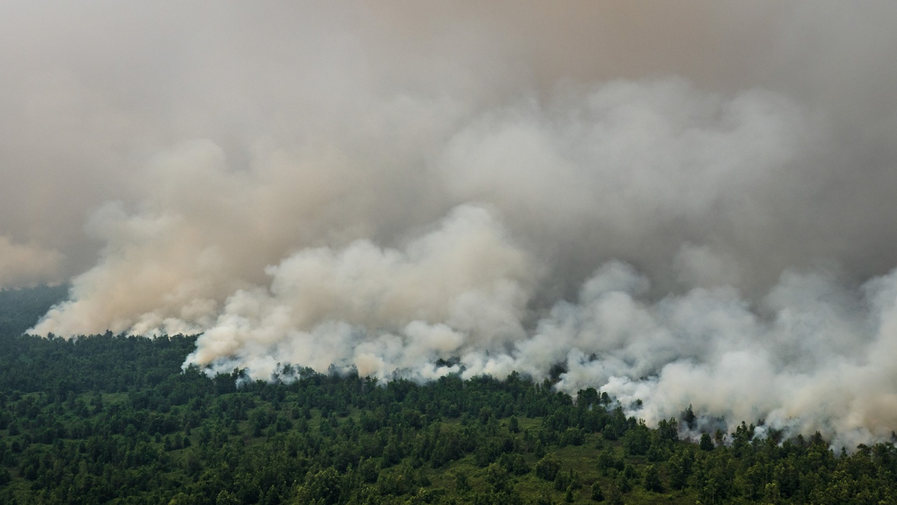 Превантивна евакуация заради пожар в Анталия