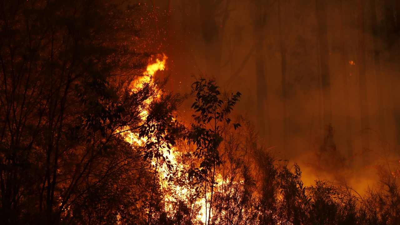 Горски пожари близо до Дубровник