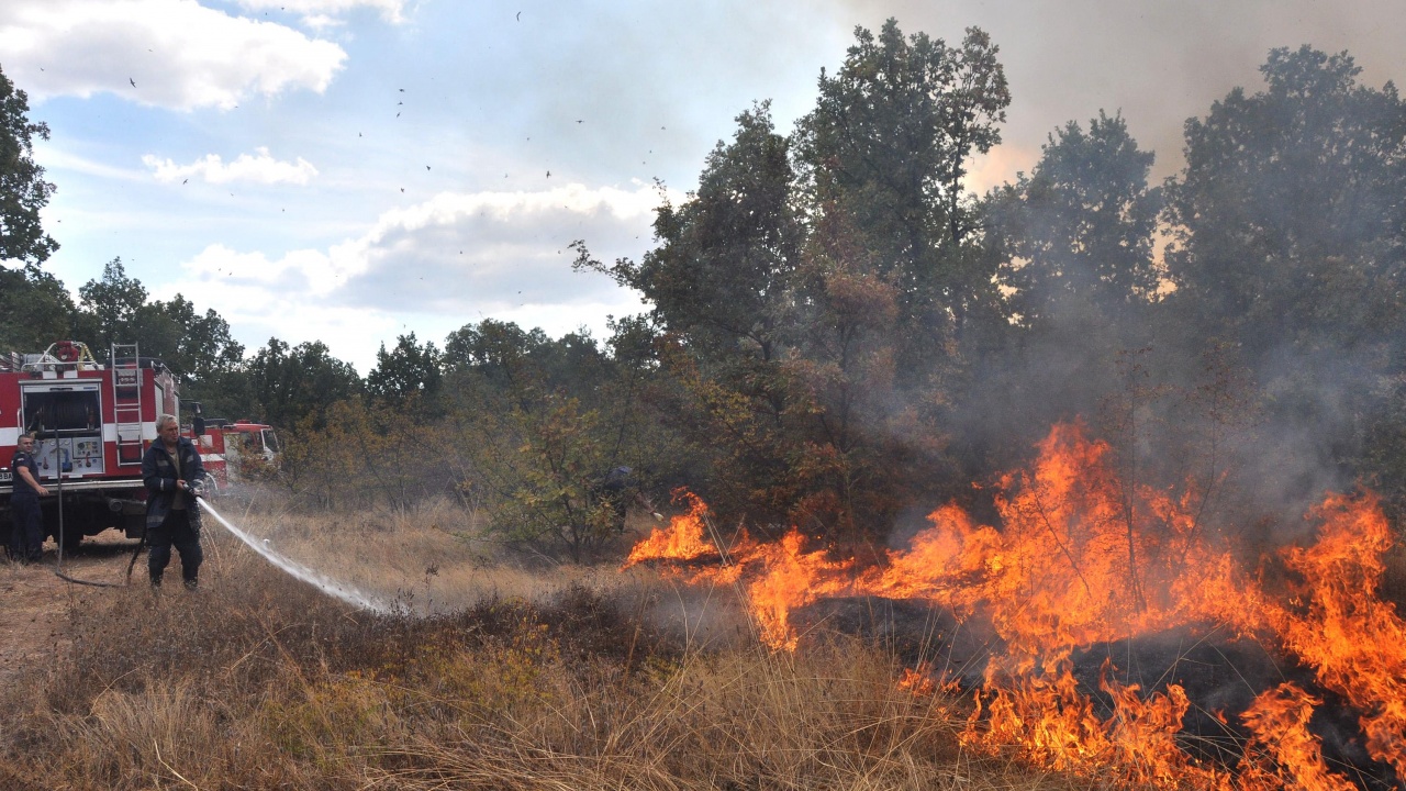 Пожар гори в района на квартал "Черно море" в Бургас
