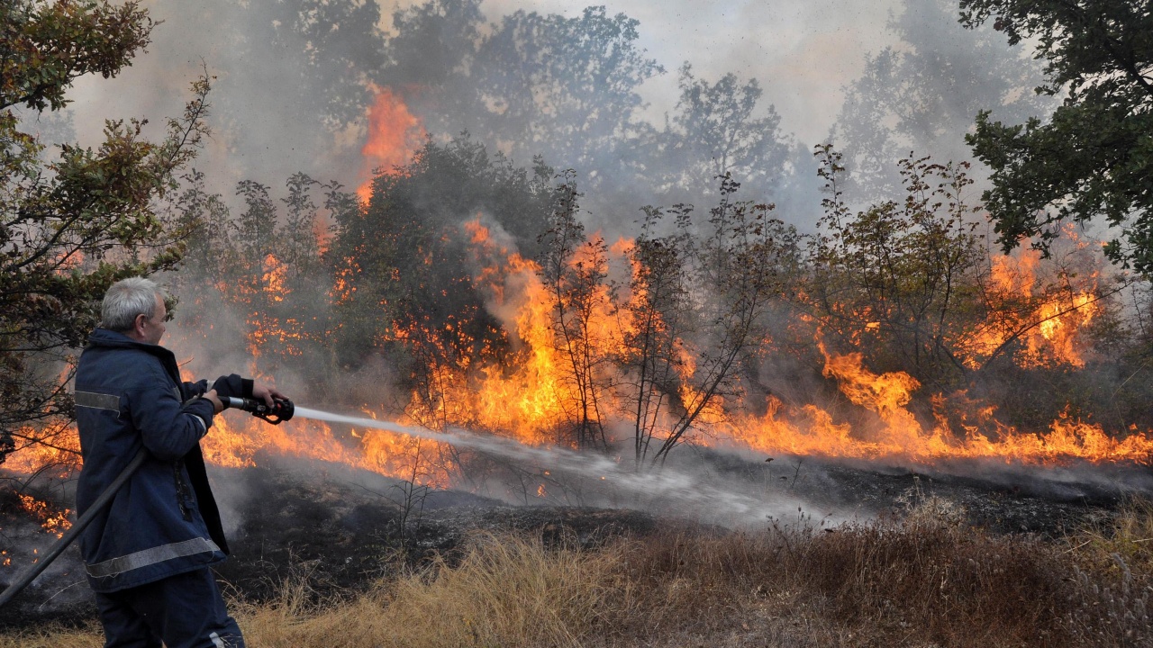 Голям пожар гори до ивайловградското село Свирачи