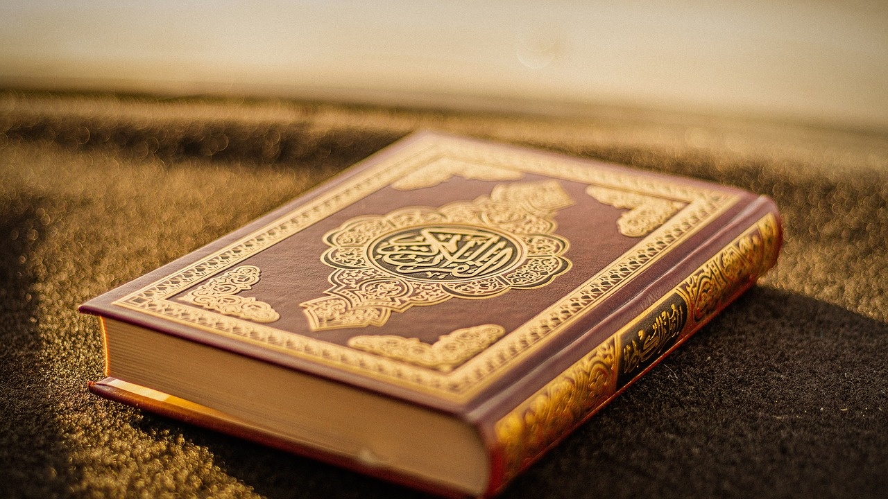 Дания обмисля забрана за изгарянето на Корана