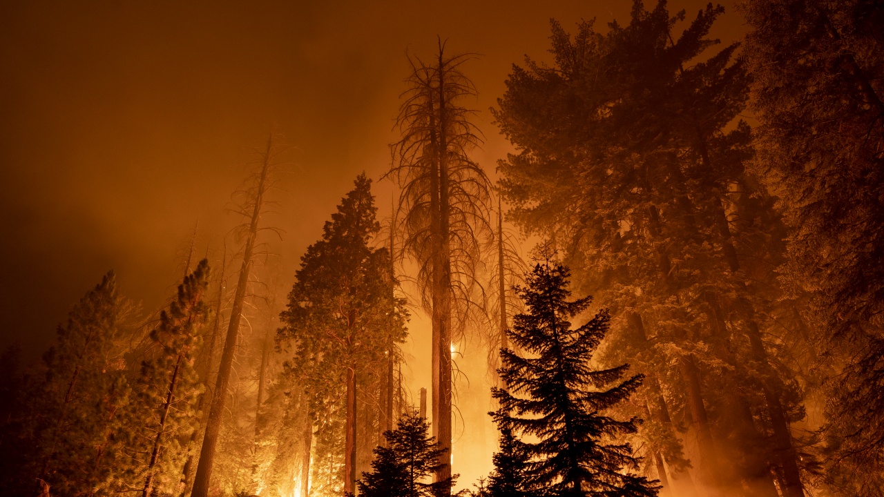Забрана за придвижване в горските райони на Халкидики поради висока опасност от пожари