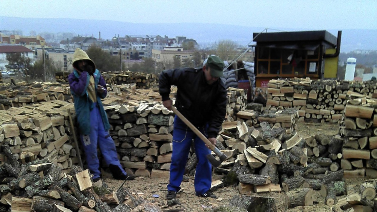 Директорът на ЮЗДП: Снабдяването с дърва за огрев е гарантирано