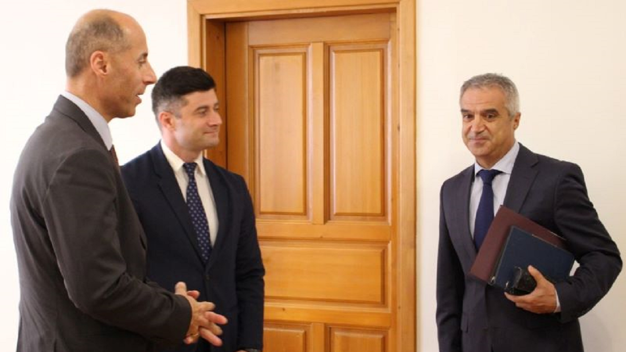 Грузия и България ще търсят засилване на енергийното сътрудничество