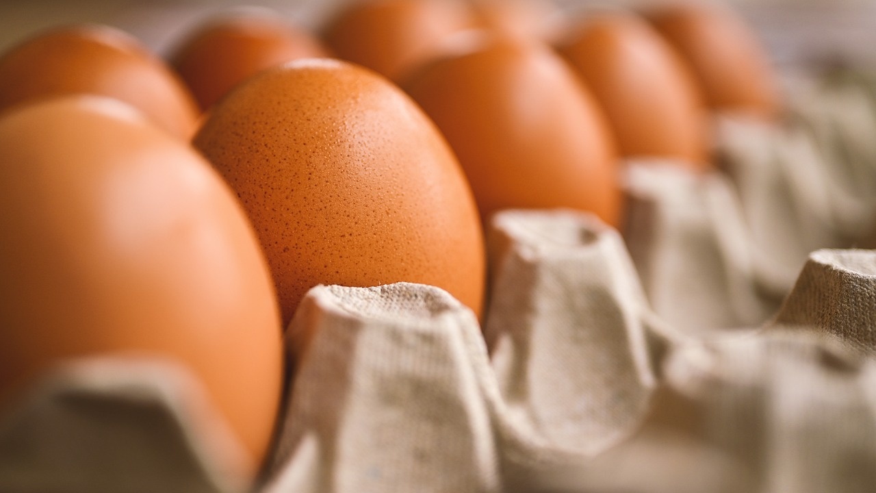 Звено за сортиране, опаковане и съхранение на яйца е финансирано с над 800 000 евро