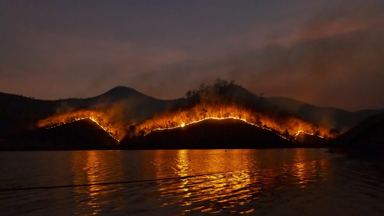Пожар наложи евакуация на Канарските острови