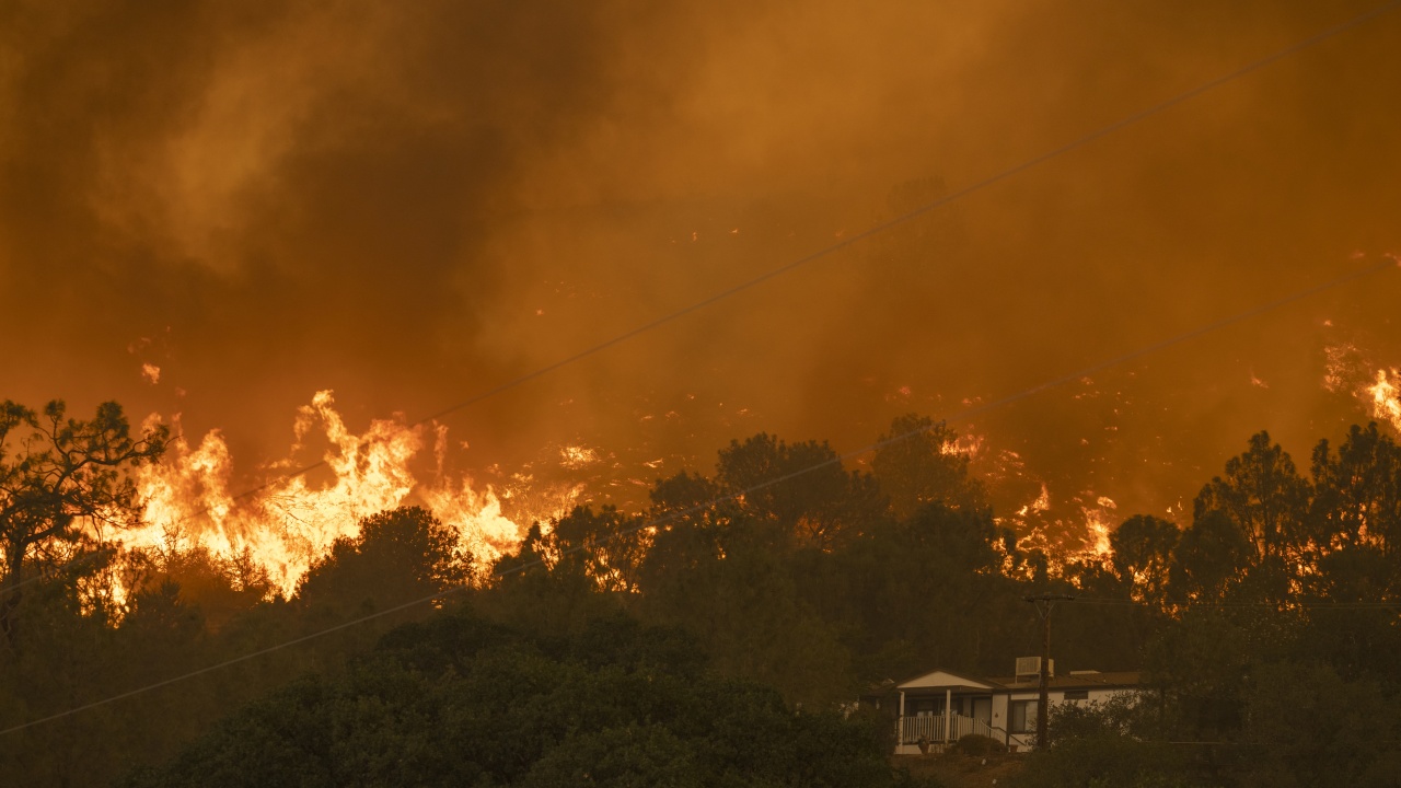 Продължава борбата с горския пожар на о-в Тенерифе