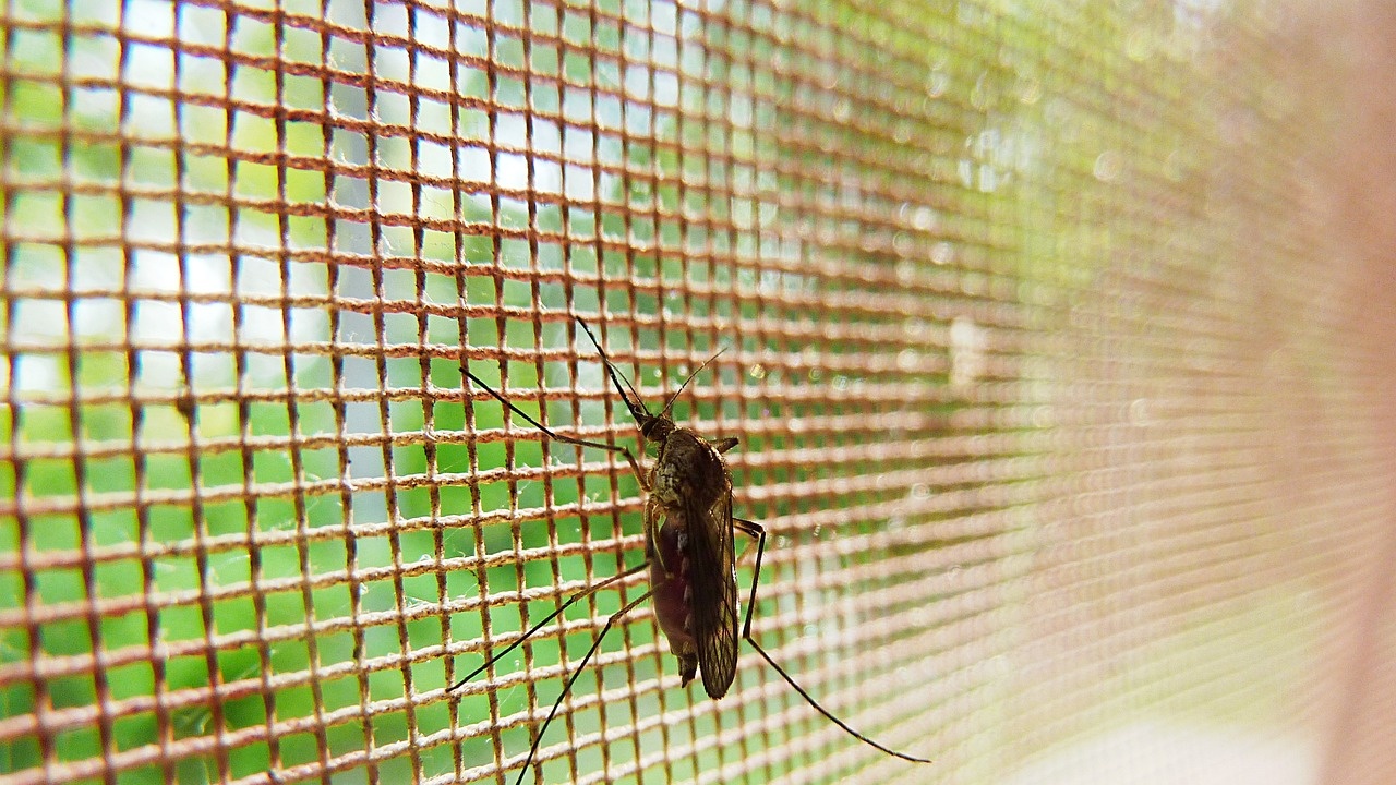 В София започват поредните обработки за този сезон срещу комари, кърлежи и гризачи