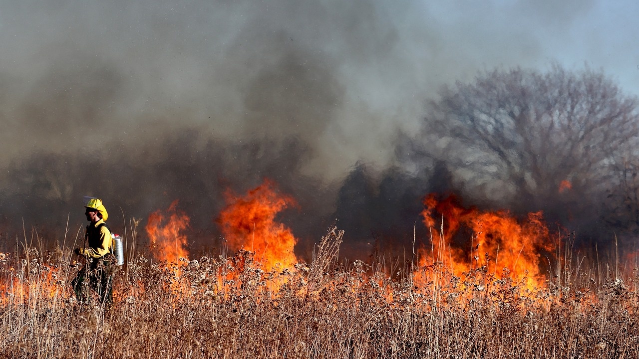 Пожар унищожи 58 декара гора в Дуловско