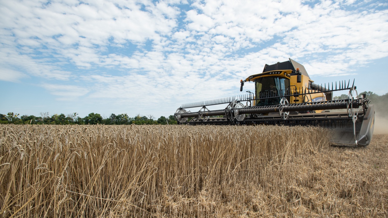 Турция продължава преговорите за възобновяването на сделката за износ на зърно от Украйна