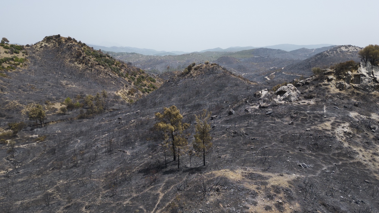 Опожарените площи край Александруполис са най-големите в Европа от години