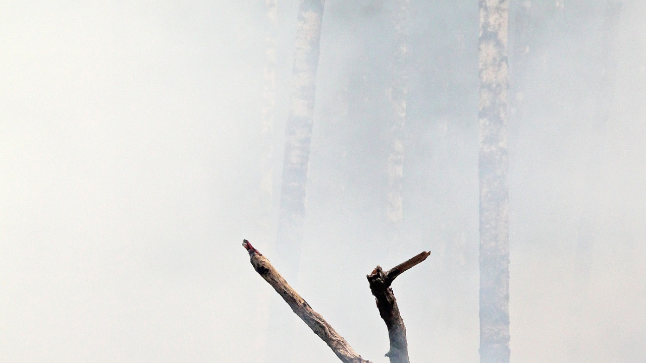 Задимяване над Асеновград заради горските пожари