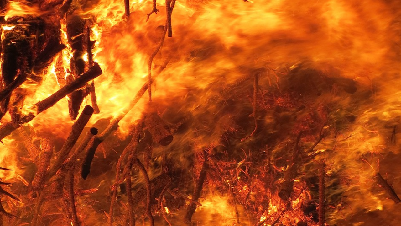 Загасени са 176 пожара в страната през изминалото денонощие