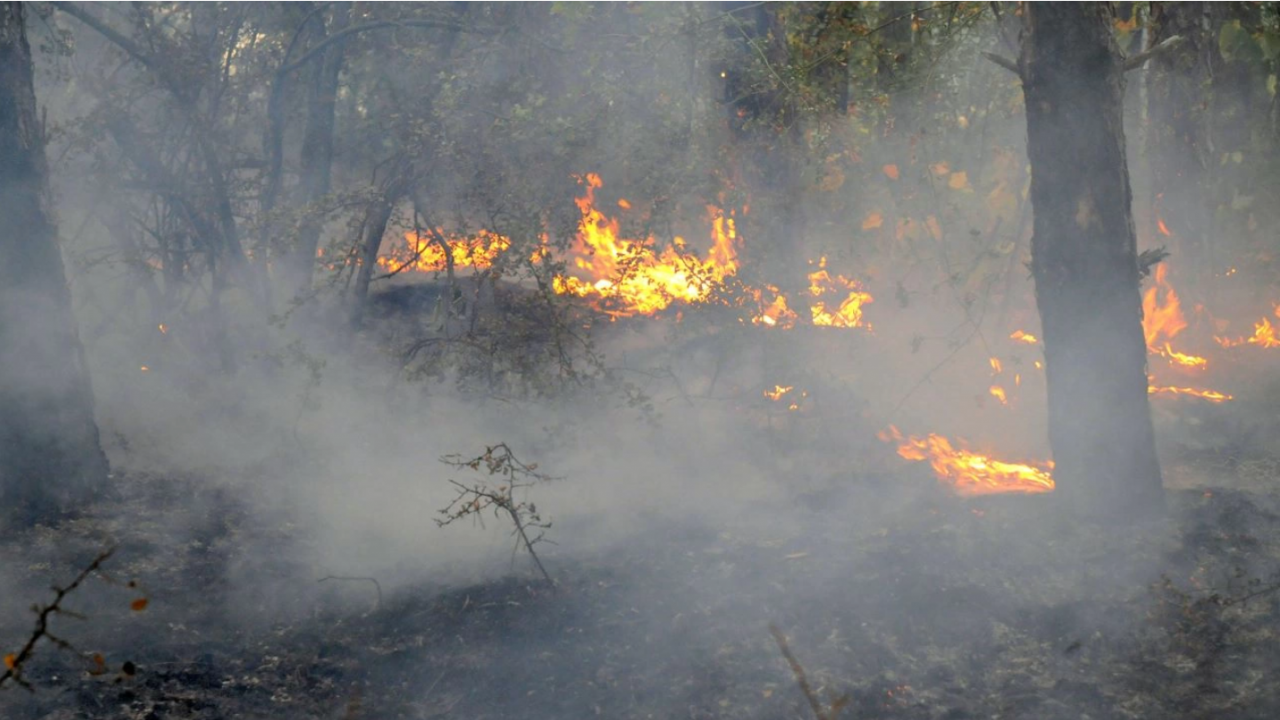 Военни от Сухопътните войски и ВВС се включват в гасенето на големия горски пожар край Хисаря