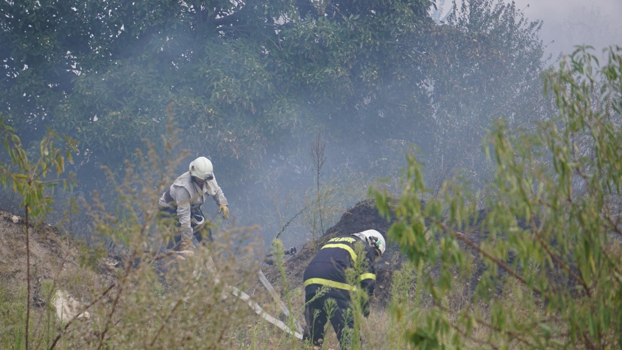 Потушен е пожарът край Добростан
