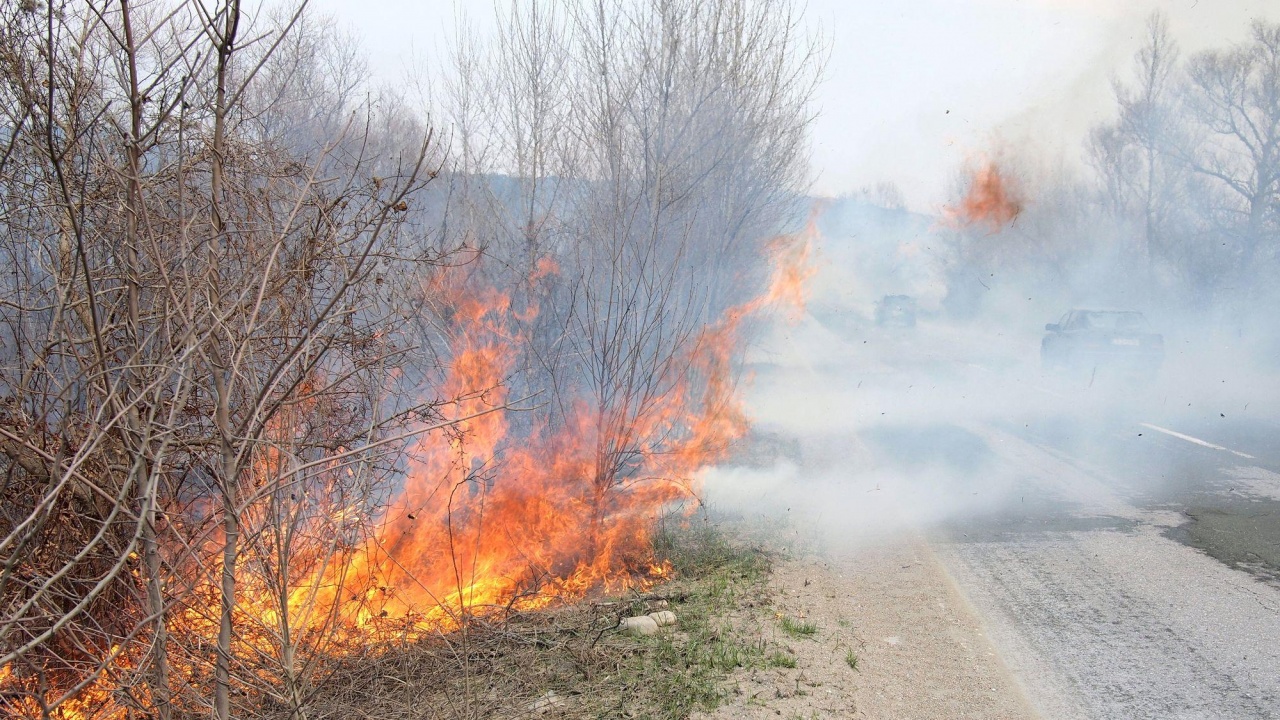 Пожар затруднява движението на главен път Е-79 в района на Кресна 