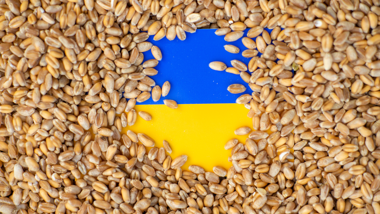 Защо забраната за внос на украинско зърно е абсолютно неоснователна