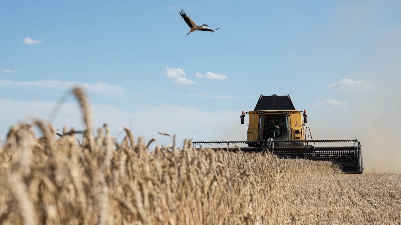 Испания и Франция разкритикуваха едностранната забрана на някои държави за внос на украинско зърно
