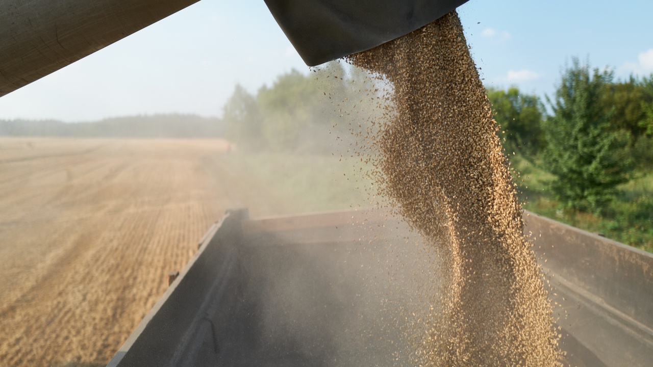 Словакия и Украйна създават лицензионна система за търговия със зърно