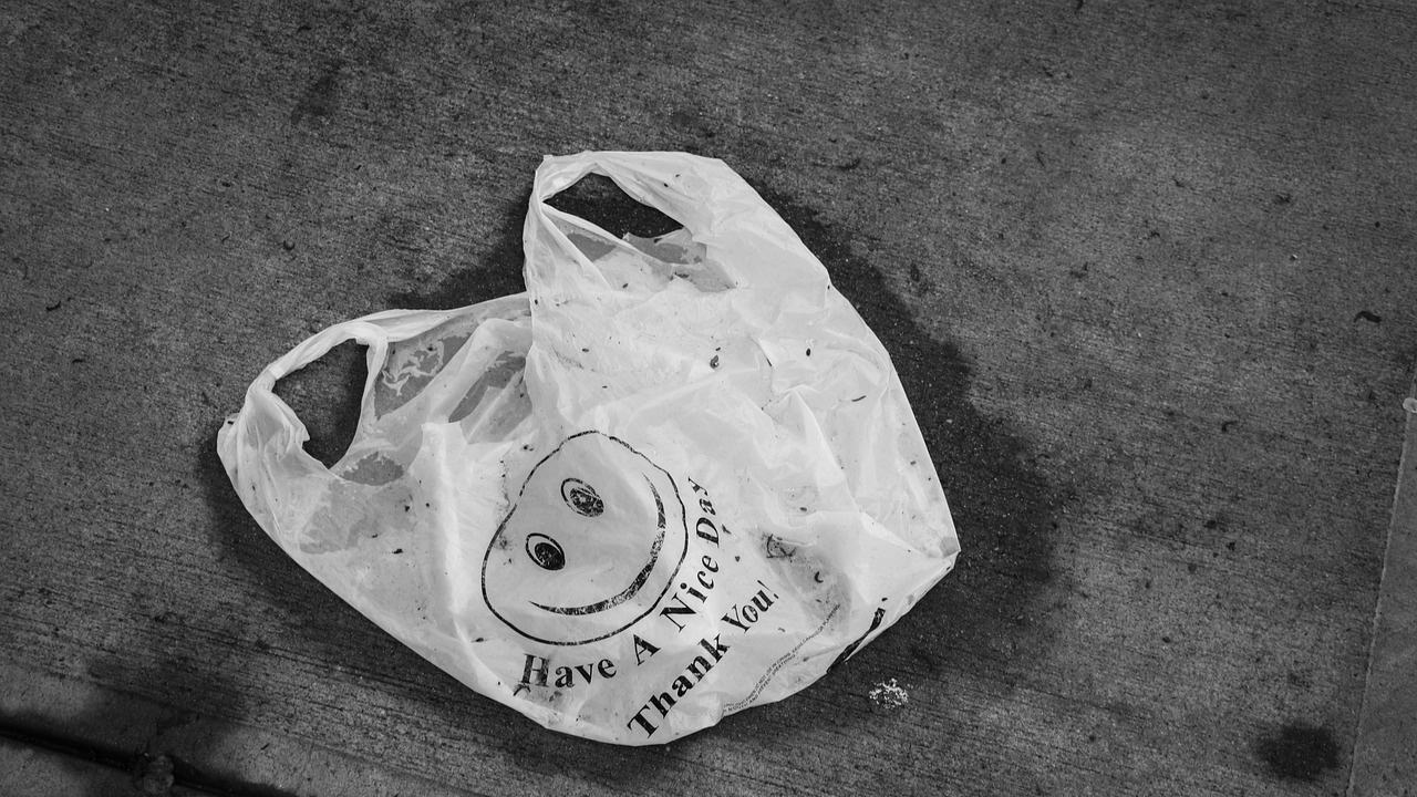 Правителството на Черна гора предлага забрана за използване на леки найлонови торбички