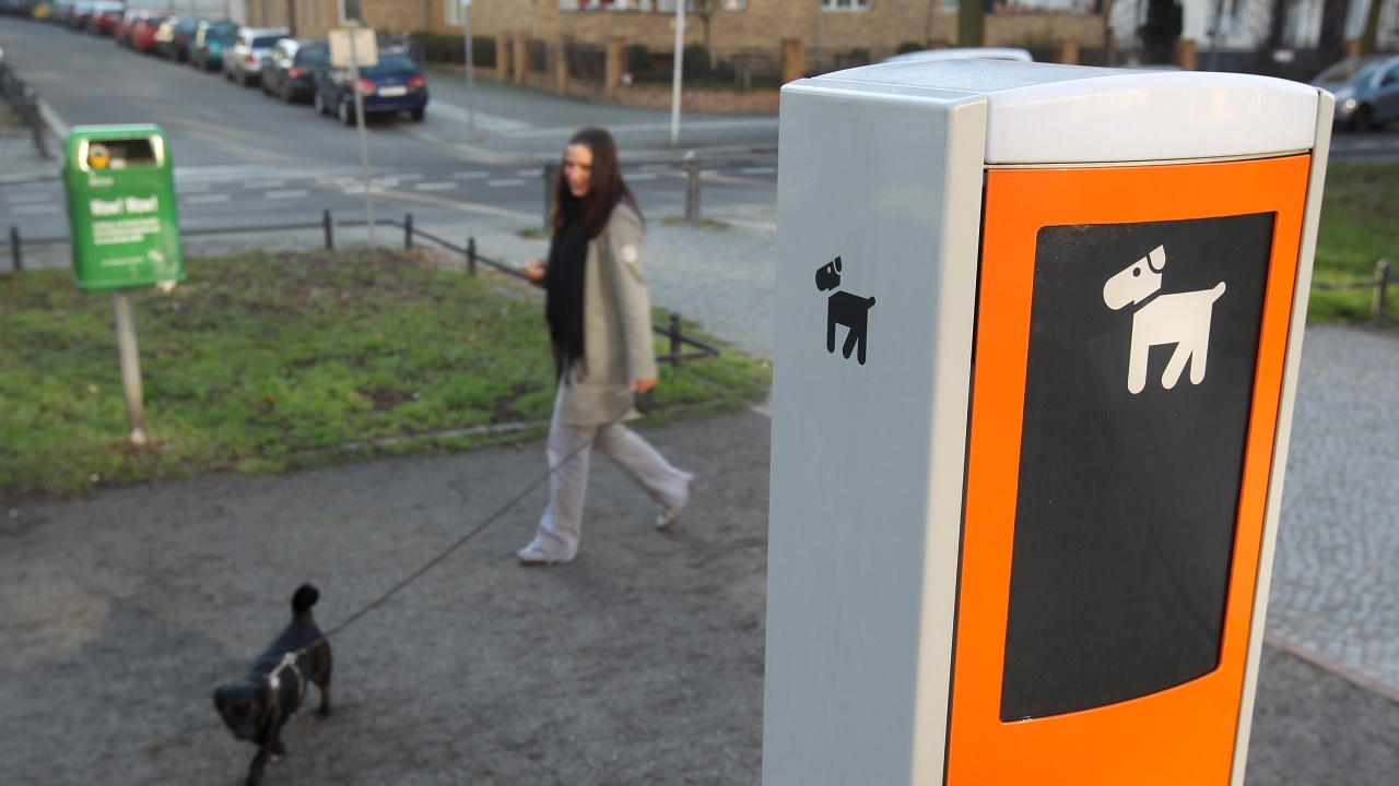 Поставиха автомати за хранене на бездомни животни срещу рециклиране в Пловдив