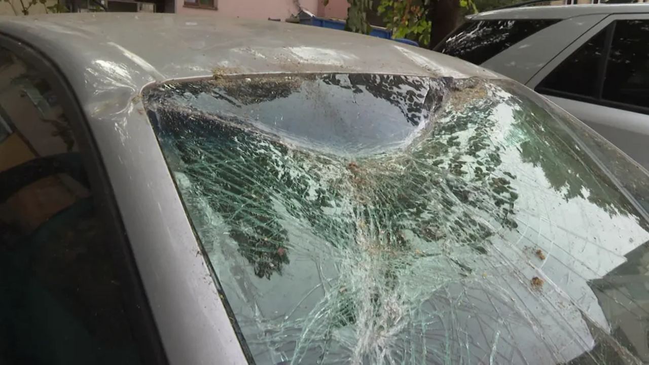 Дърво падна и потроши 10 коли на ул. „Горазд“ в Пловдив