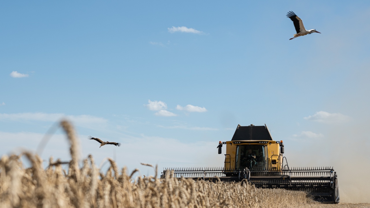 Украйна може да изнесе 1 милион тона зърно през октомври