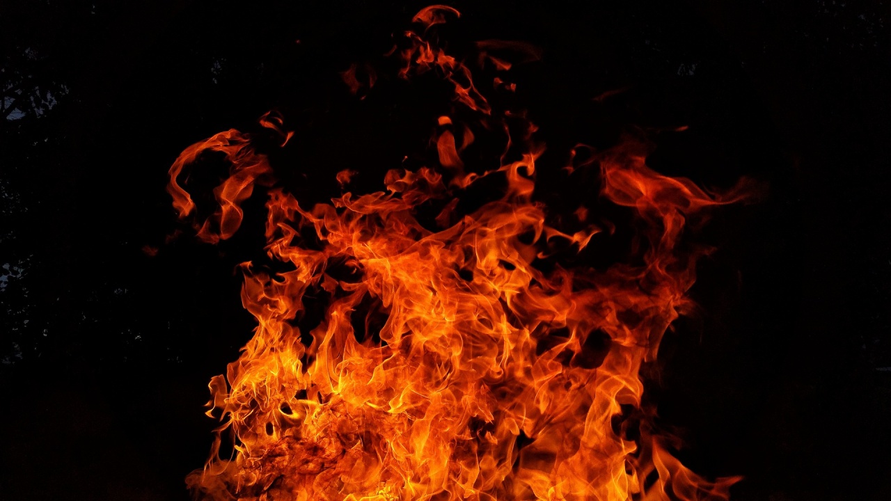 97 пожара са потушени в страната през изминалото денонощие
