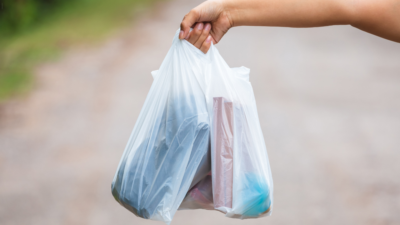 Потреблението на найлонови торбички в ЕС през 2021 г. намалява