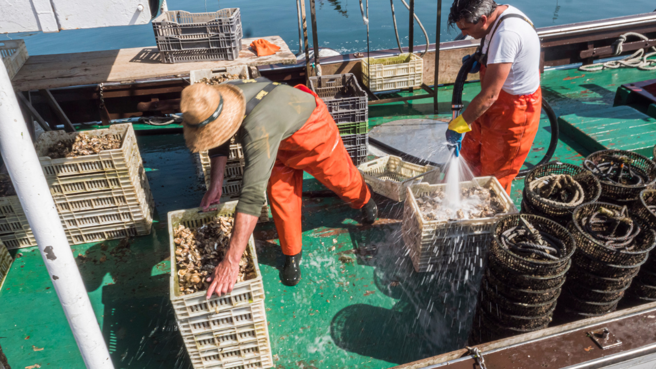 Рибари от Момчилград се заканиха за щурм, Ловно-рибарското сдружение ги кани на среща