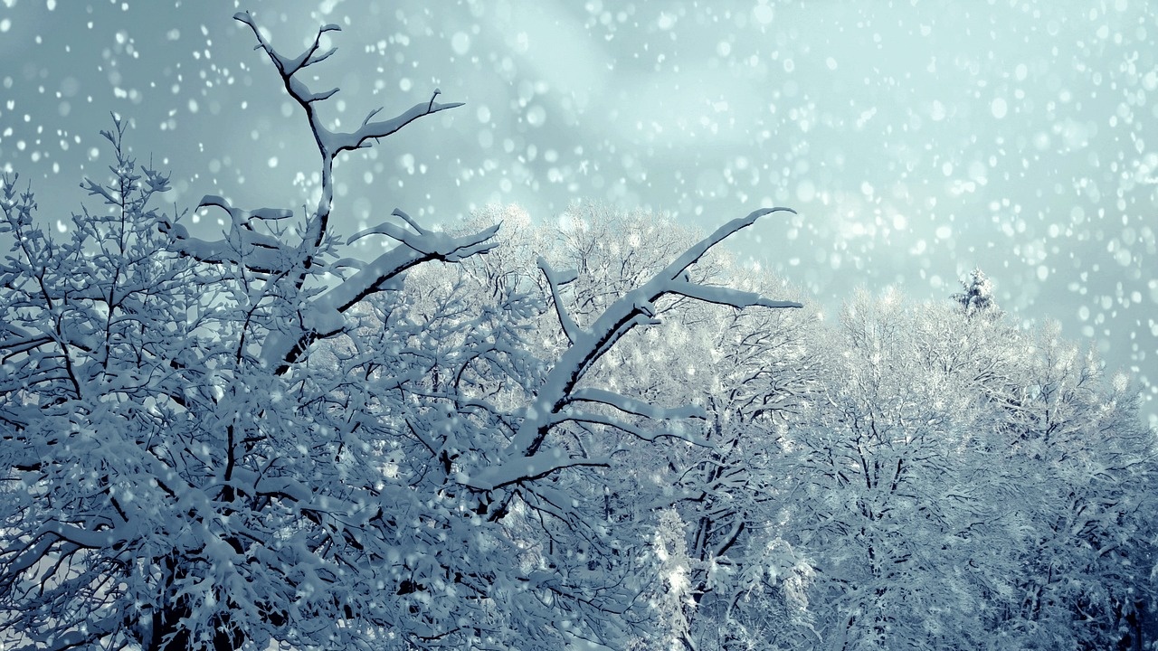 Meteo Balkans: Класическата зима нахлува с пълна сила, ето кога
