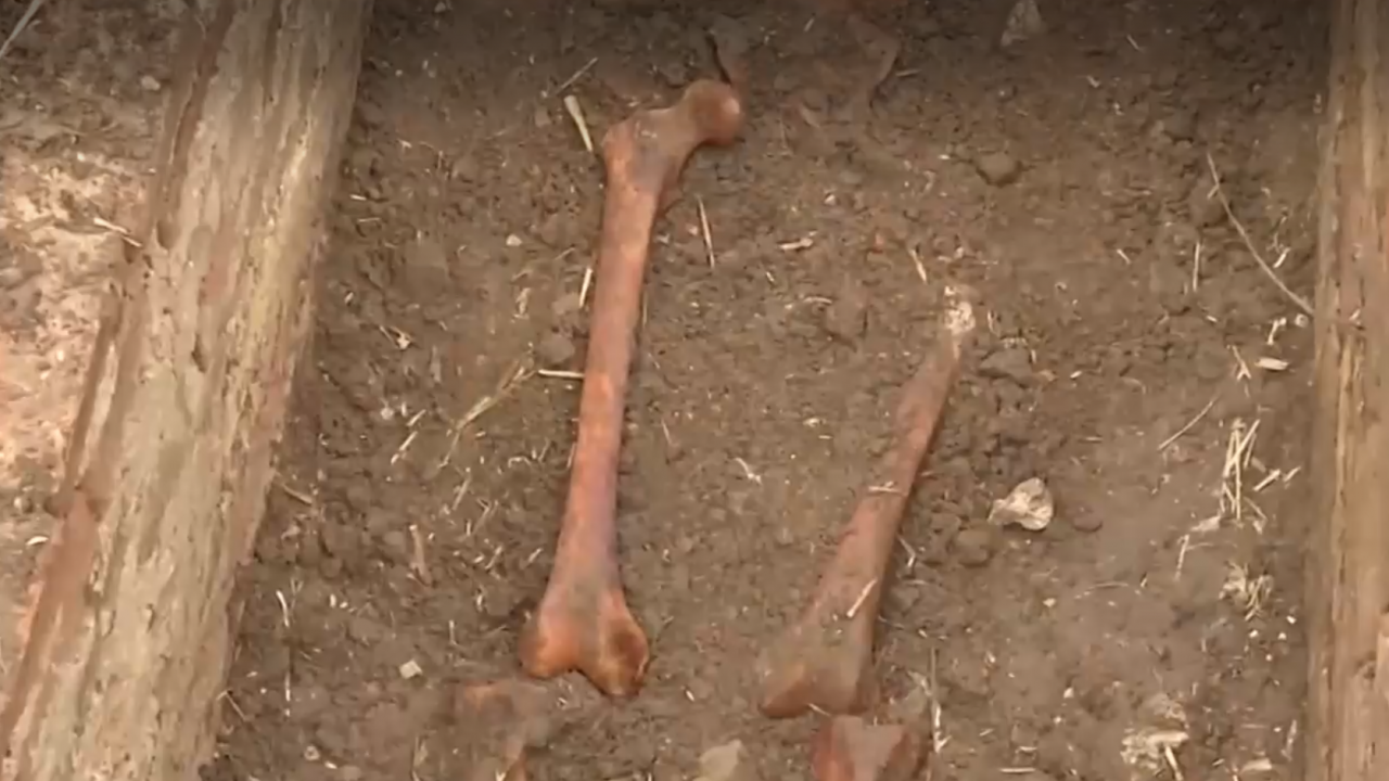 Тракторист разкри римски некропол край Попово