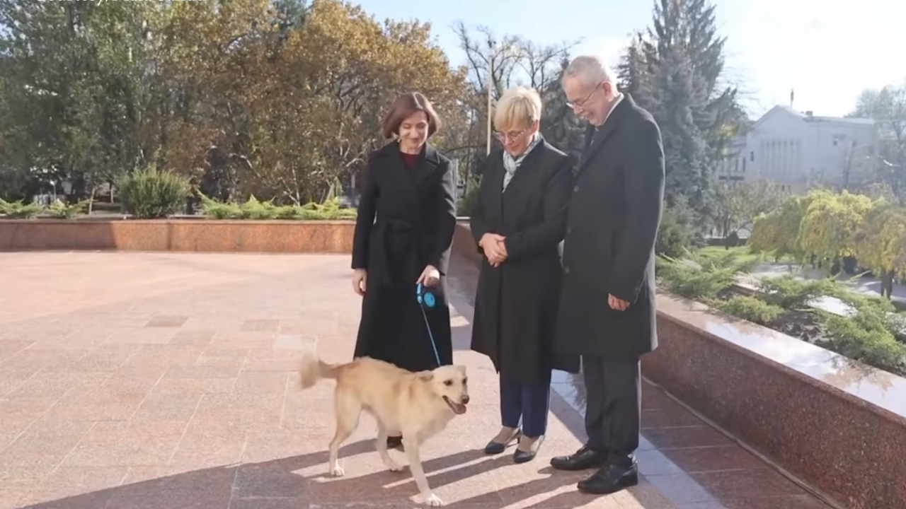 Кучето на молдовския президент ухапа австрийския държавен глава