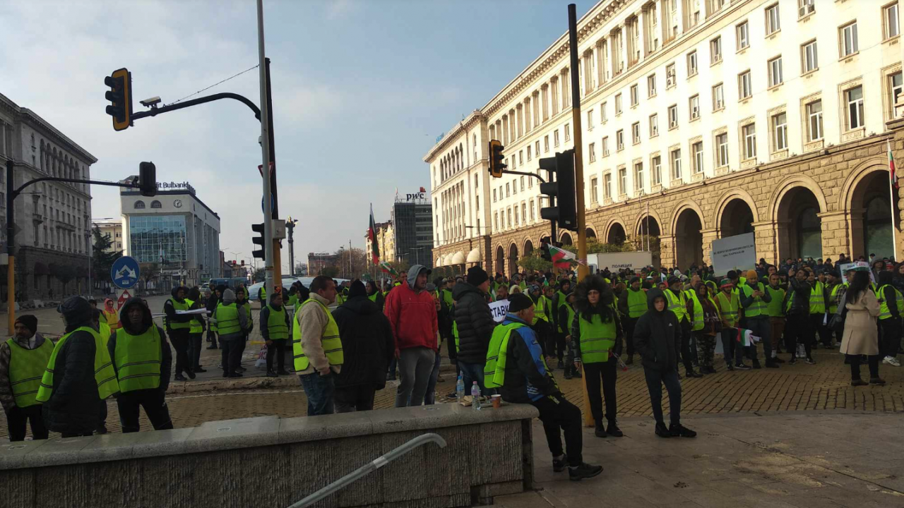 Животновъди на протест пред МС, министър Вътев им отговори: Всичко по закон е изплатено