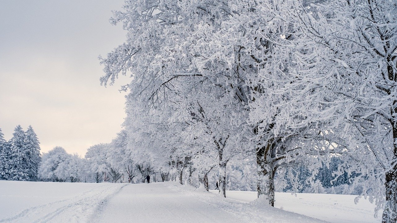Обилен снеговалеж в Москва, прекъснати са пътни връзки
