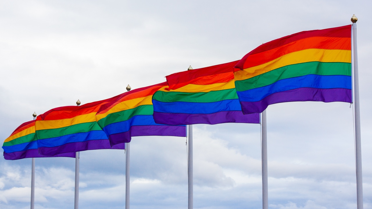 Естония узакони гей браковете