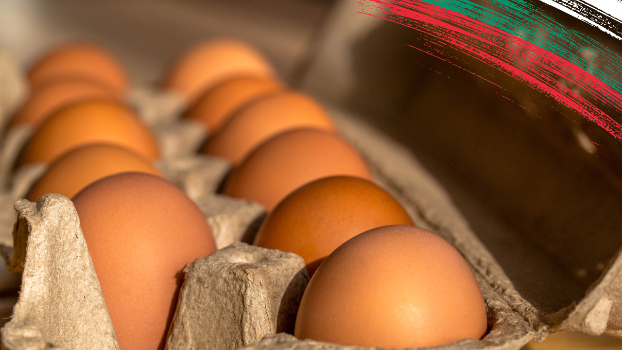 Вносни яйца и пилешко от трети страни се преетикетират в родни транжорни и се продават като български